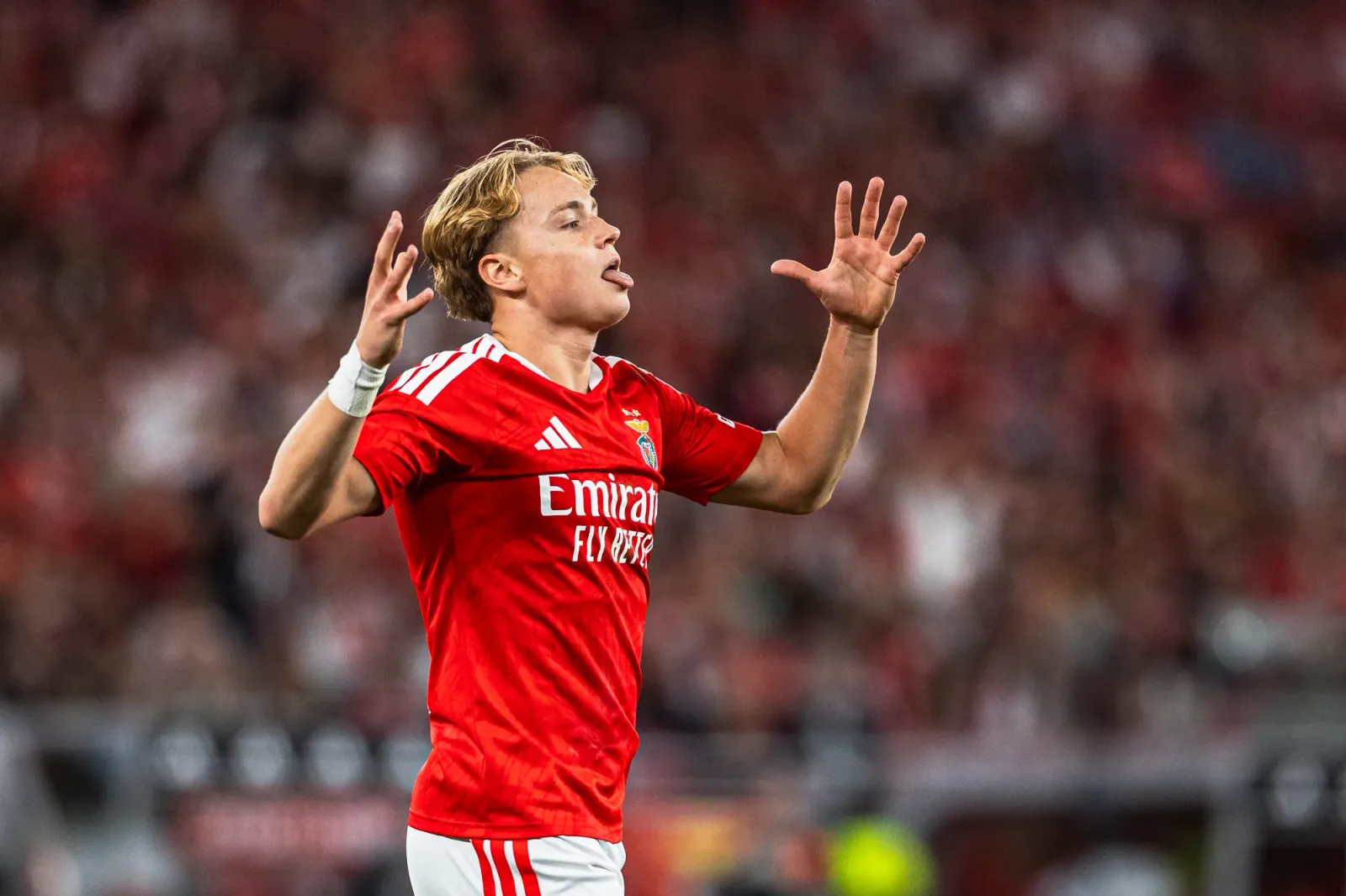 O gol e a festa na Luz