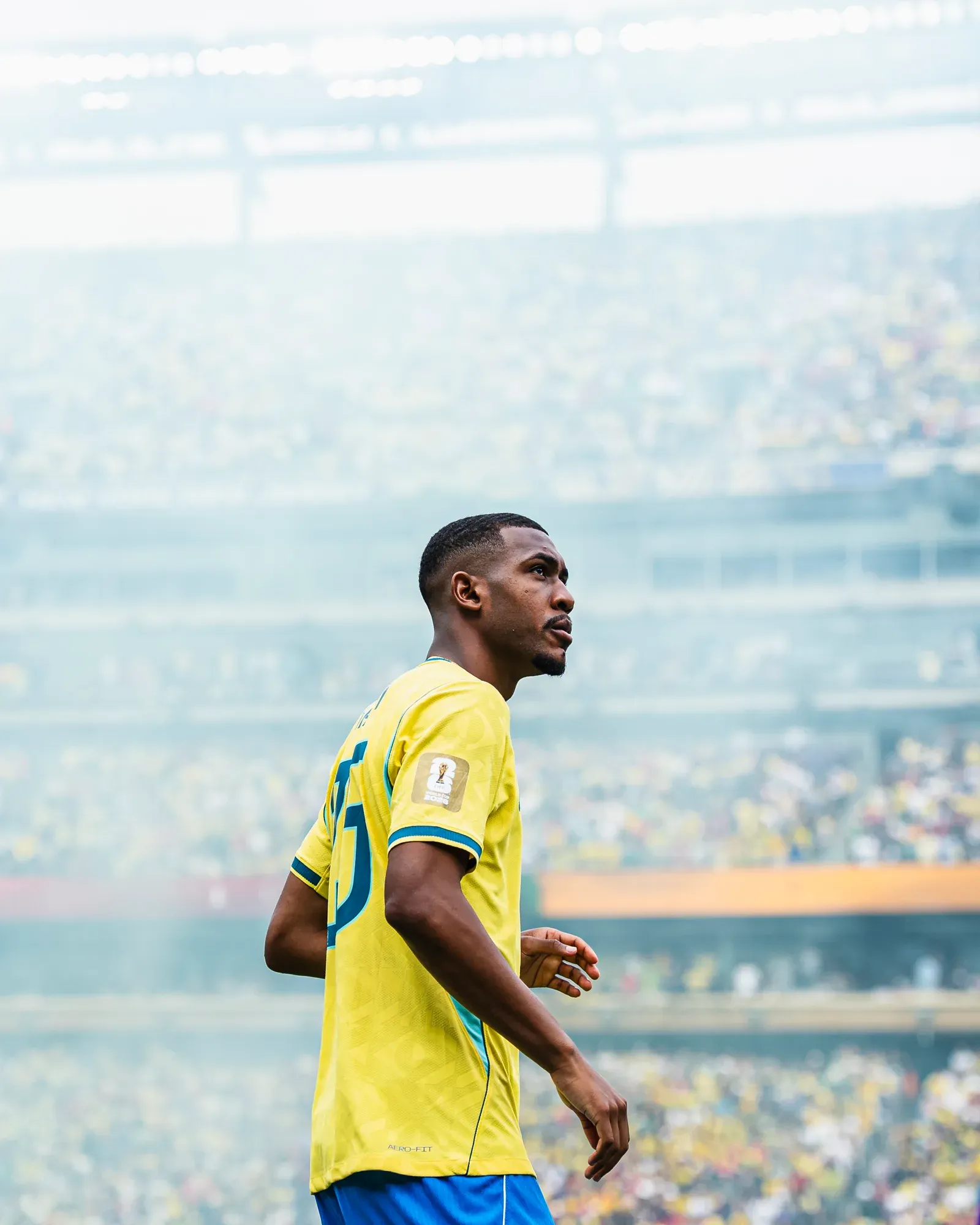 Seleção brasileira: olhar para a arquibancada